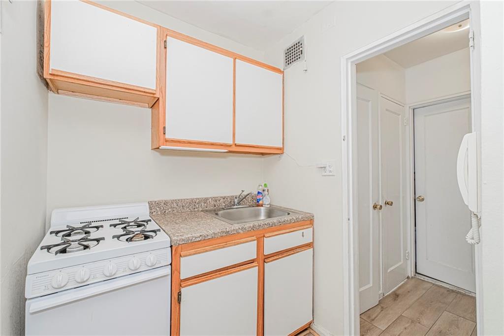 393 Avenue S 3G, Brooklyn, New York, 11234 image 9