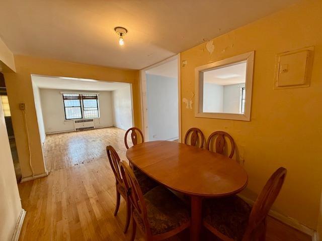 1119 Ocean Parkway 1N, Brooklyn, New York, 11230 image 17