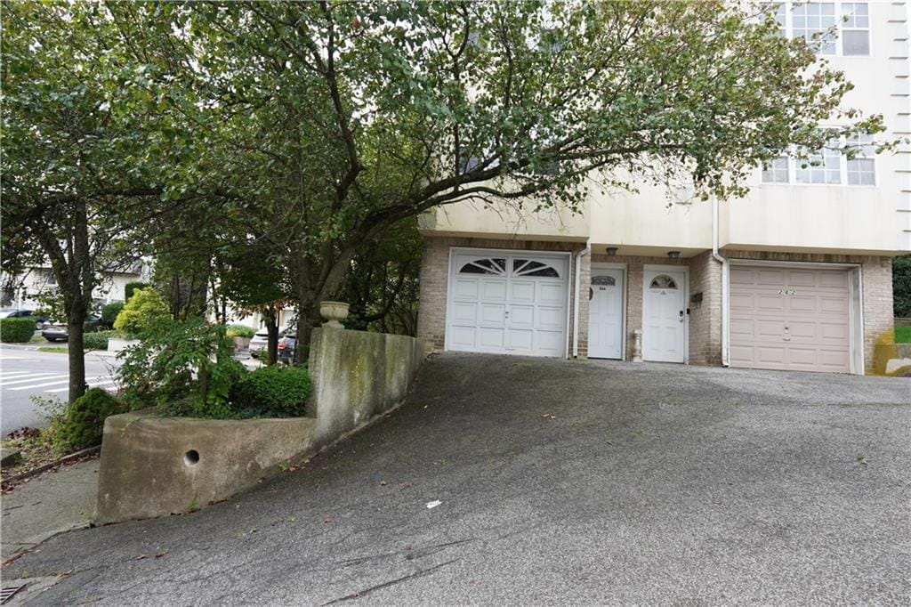264 Ward Avenue Image 3