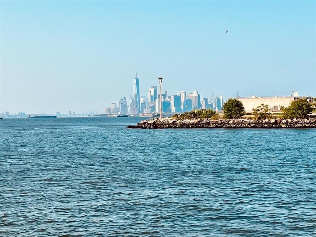 7119 Shore Road 4K, Brooklyn, New York, 11209 image 39