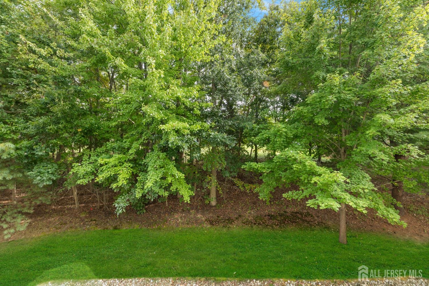 6209 Falston Circle, Old Bridge, NJ, 08857 image 23