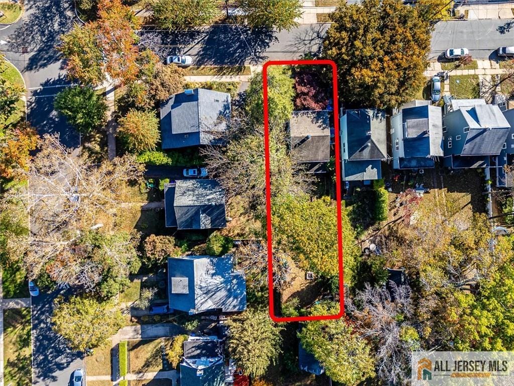 135 Johnson Street, Highland Park, NJ, 08904 image 8