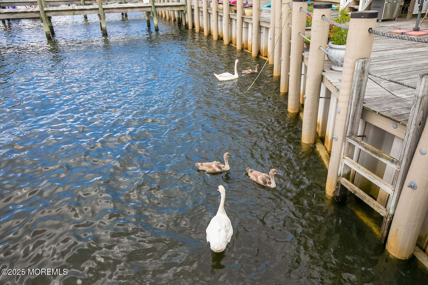 1332 Ocean Avenue 5, Sea Bright, NJ, 07760 image 35