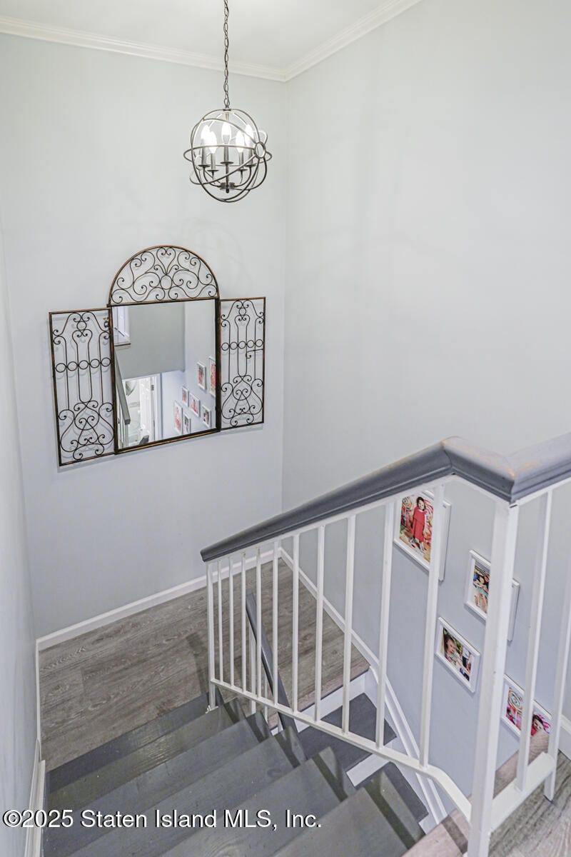 53 Indale Avenue, Staten Island, NY, 10309 image 22