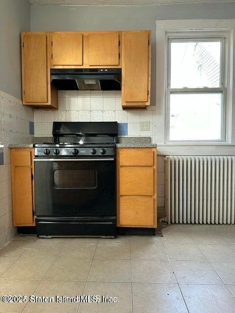 258 Targee Street, Staten Island, NY, 10304 image 6