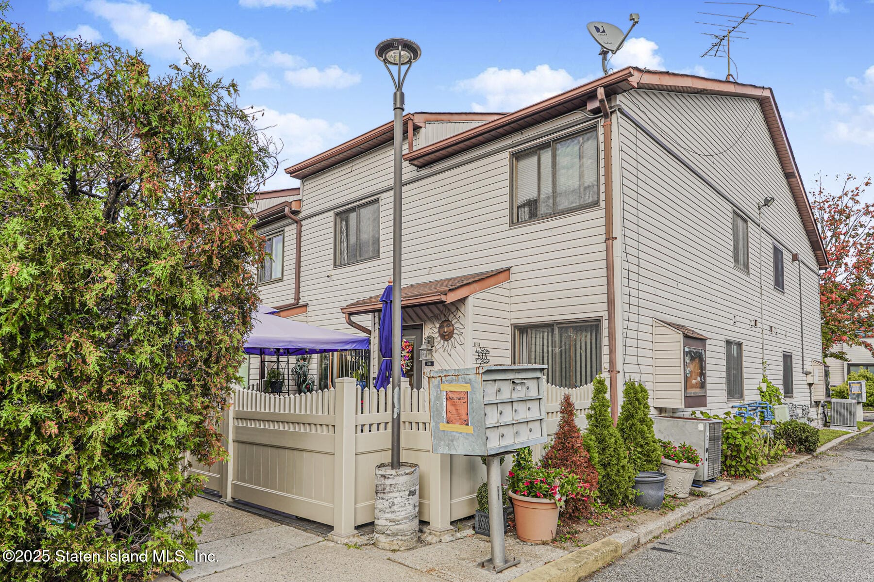 81 Selvin Loop A Image 2