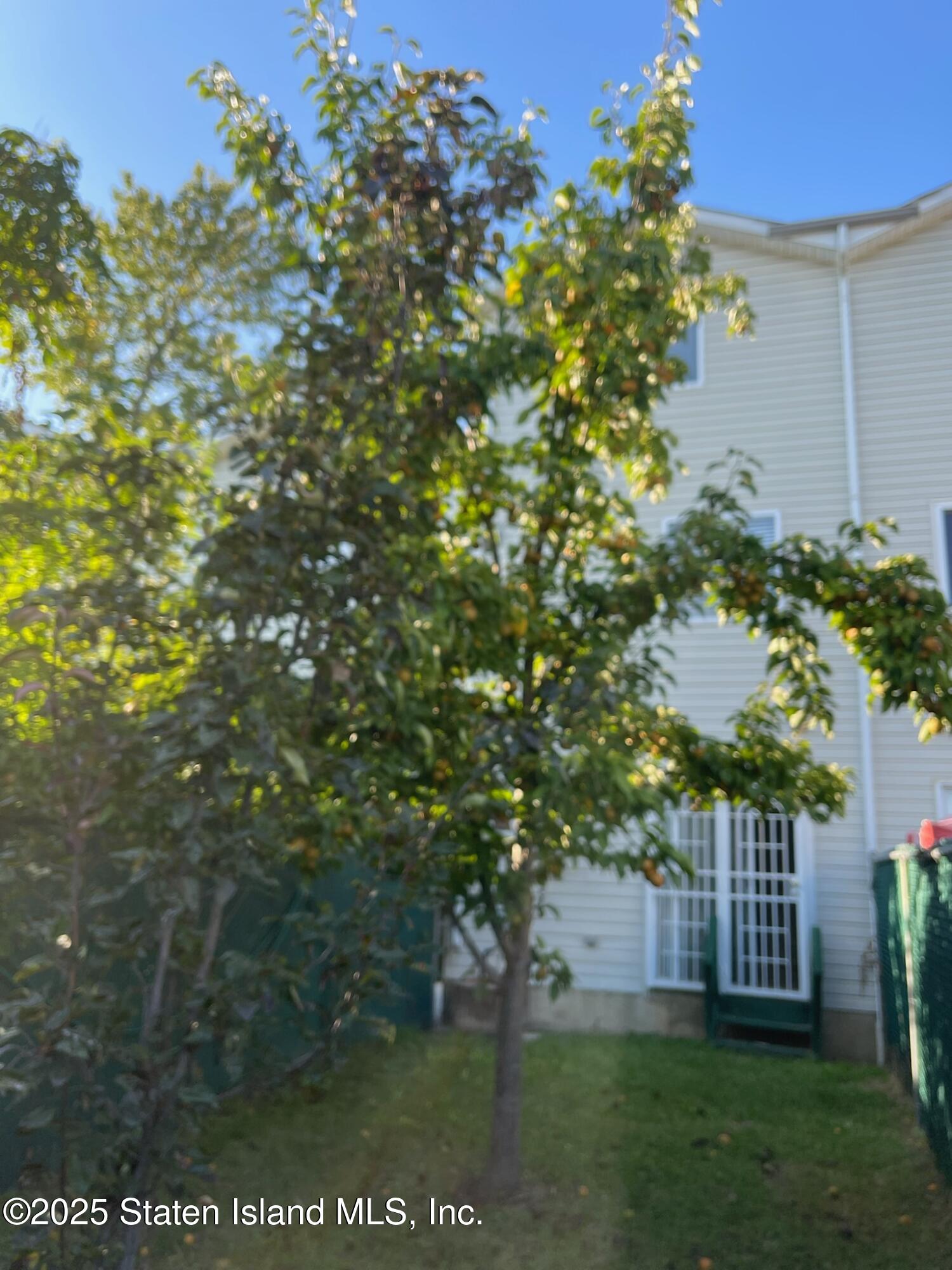 12 Reid Avenue, Staten Island, NY, 10305 image 17