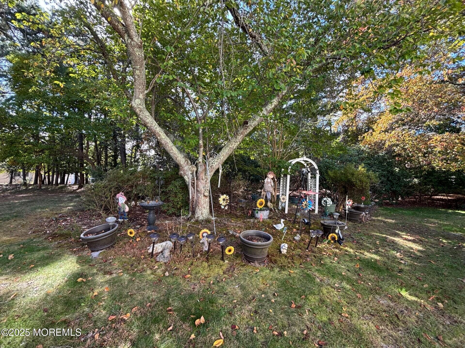 5 Bayberry Lane a, Whiting, NJ, 08759 image 23