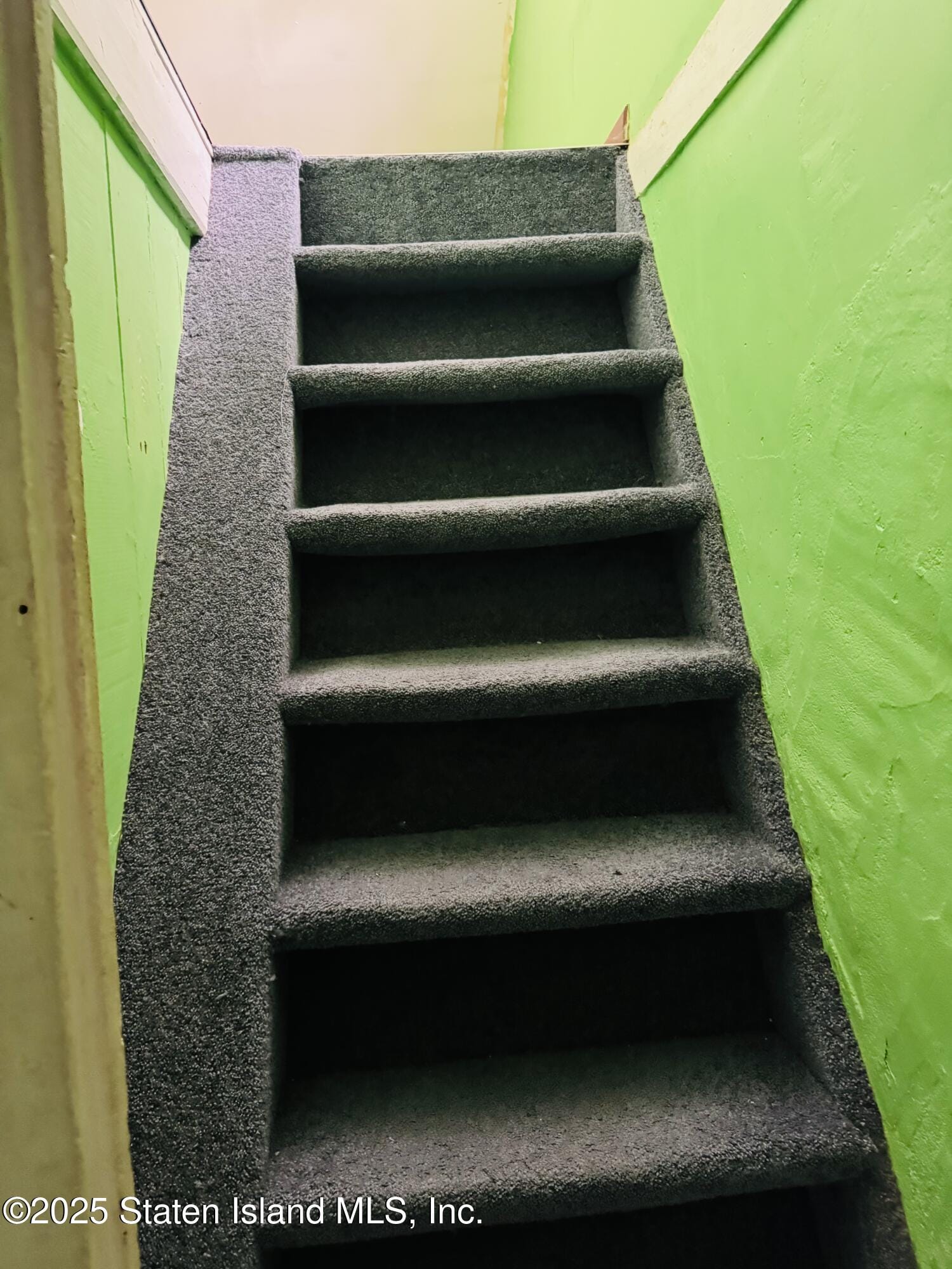 113 Van Pelt Avenue, Staten Island, NY, 10303 image 7