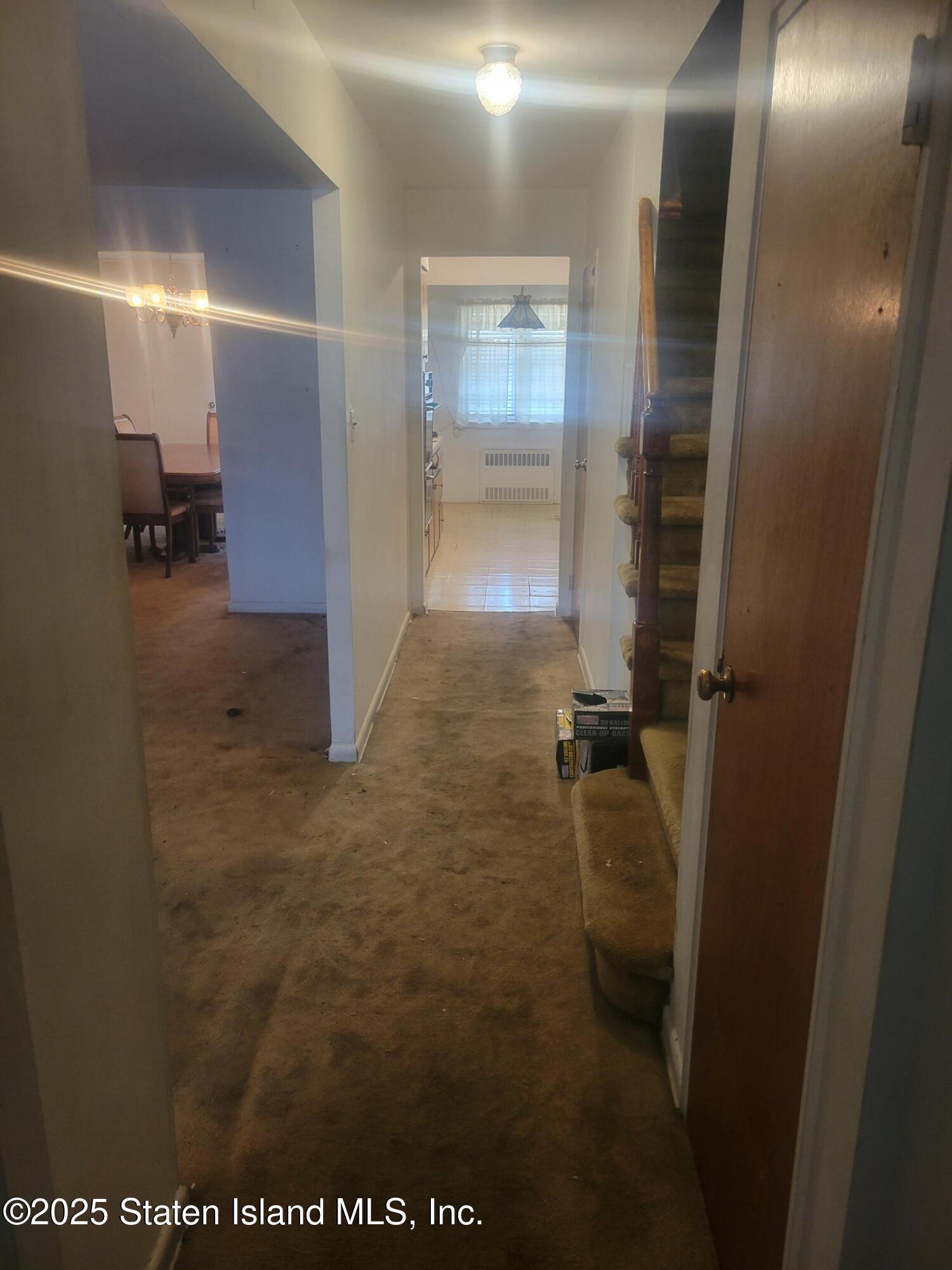 557 E 51st Street, Brooklyn, NY, 11203 image 10