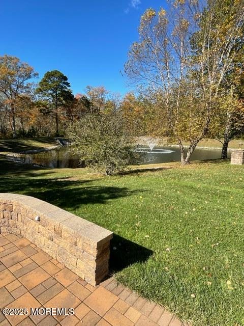 14 Cromwell Lane, Jackson, NJ, 08527 image 13