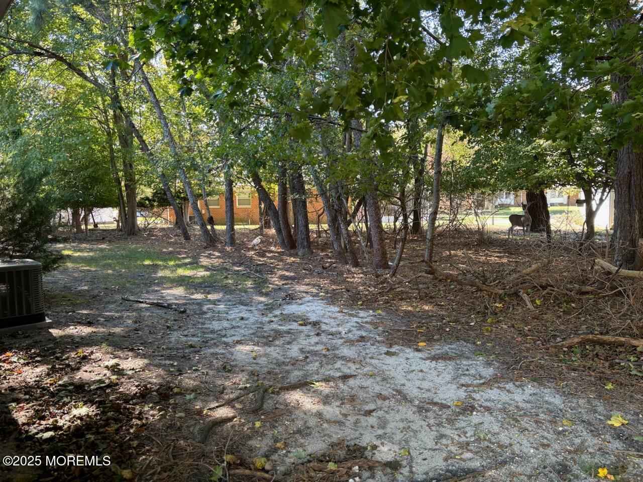 2 Bennington Lane B, Whiting, NJ, 08759 image 6