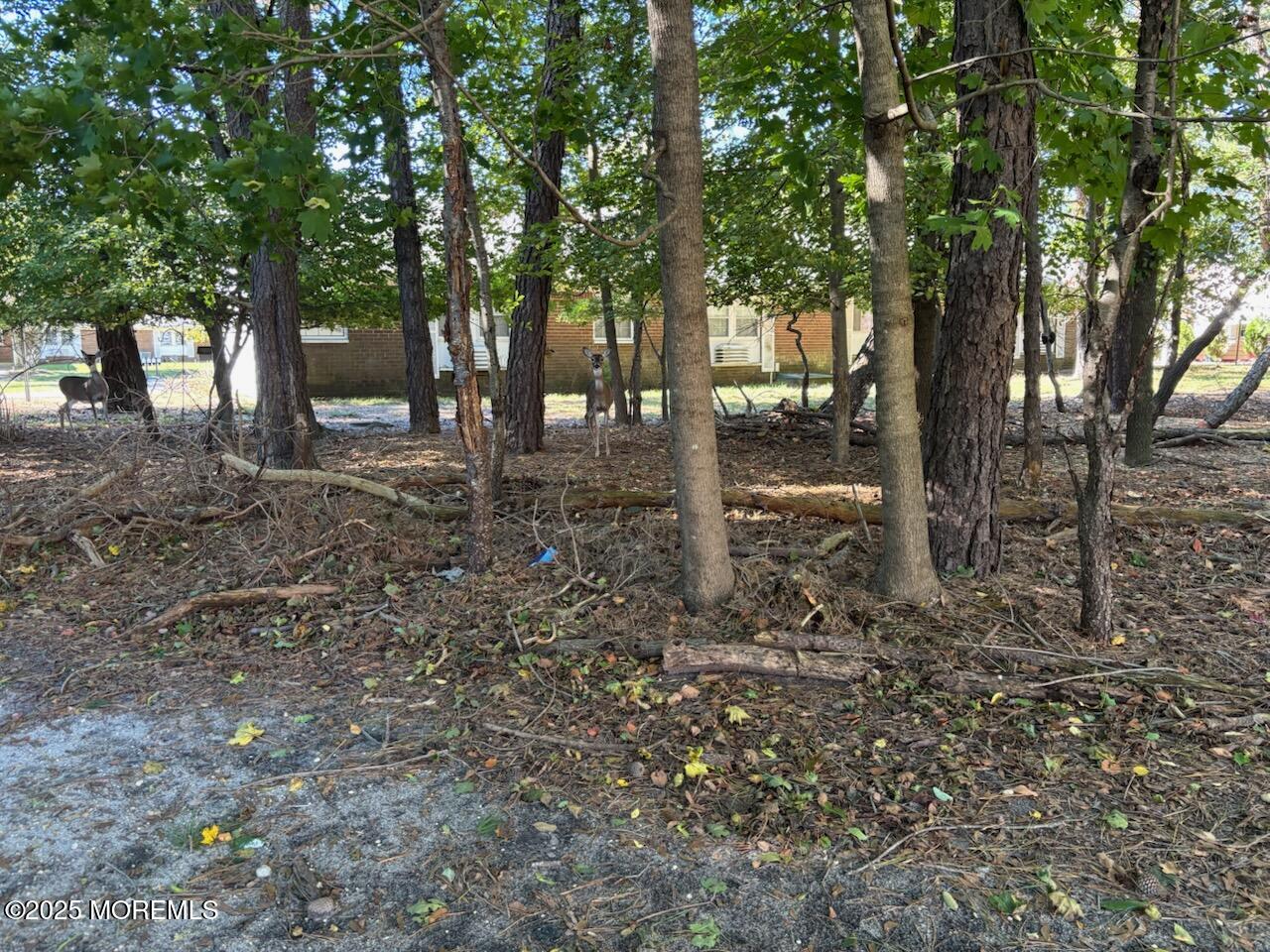 2 Bennington Lane B Image 5