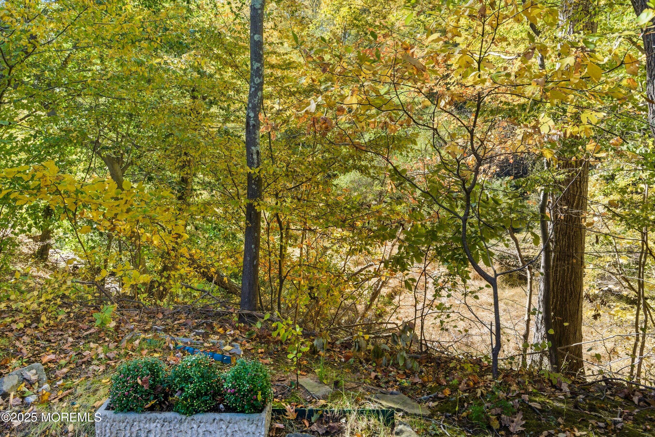 32 Ellsworth Court, Red Bank, NJ, 07701 image 20