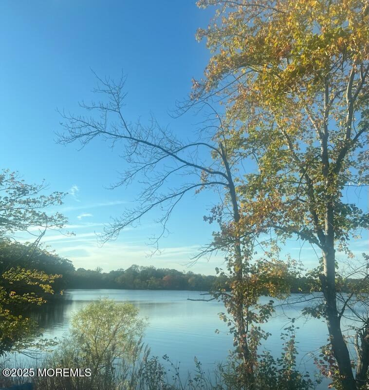 110 Whispering Pines Drive, Lincroft, NJ, 07738 image 48