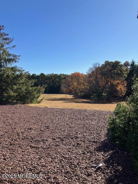 5 Shaw Court Image 5