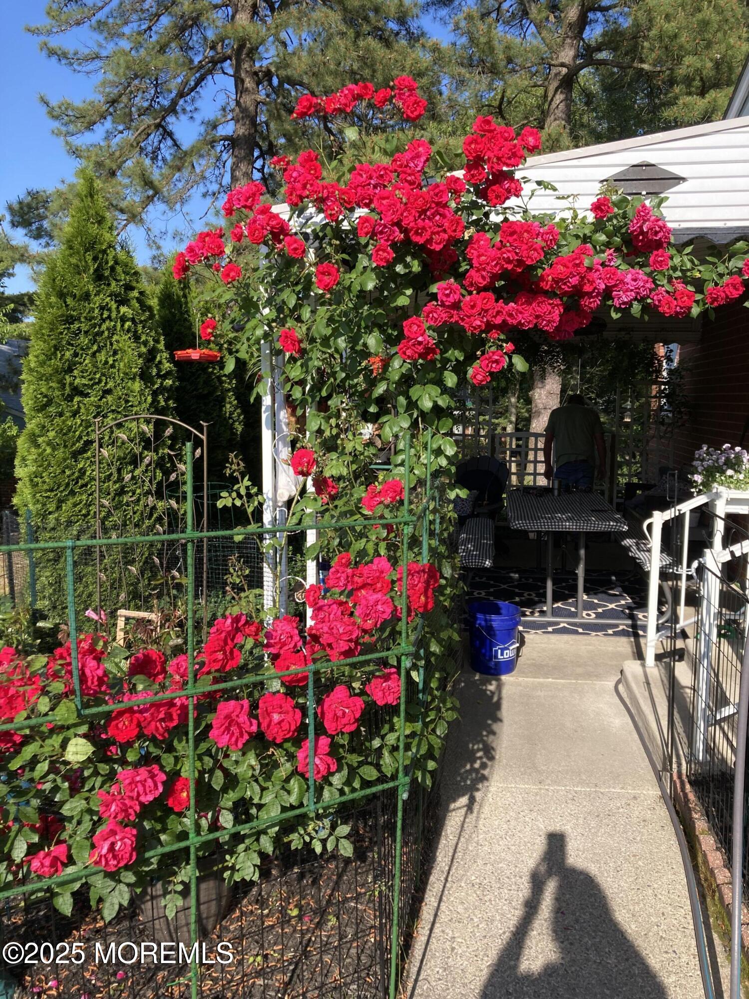 2 Carteret Lane A, Whiting, NJ, 08759 image 21