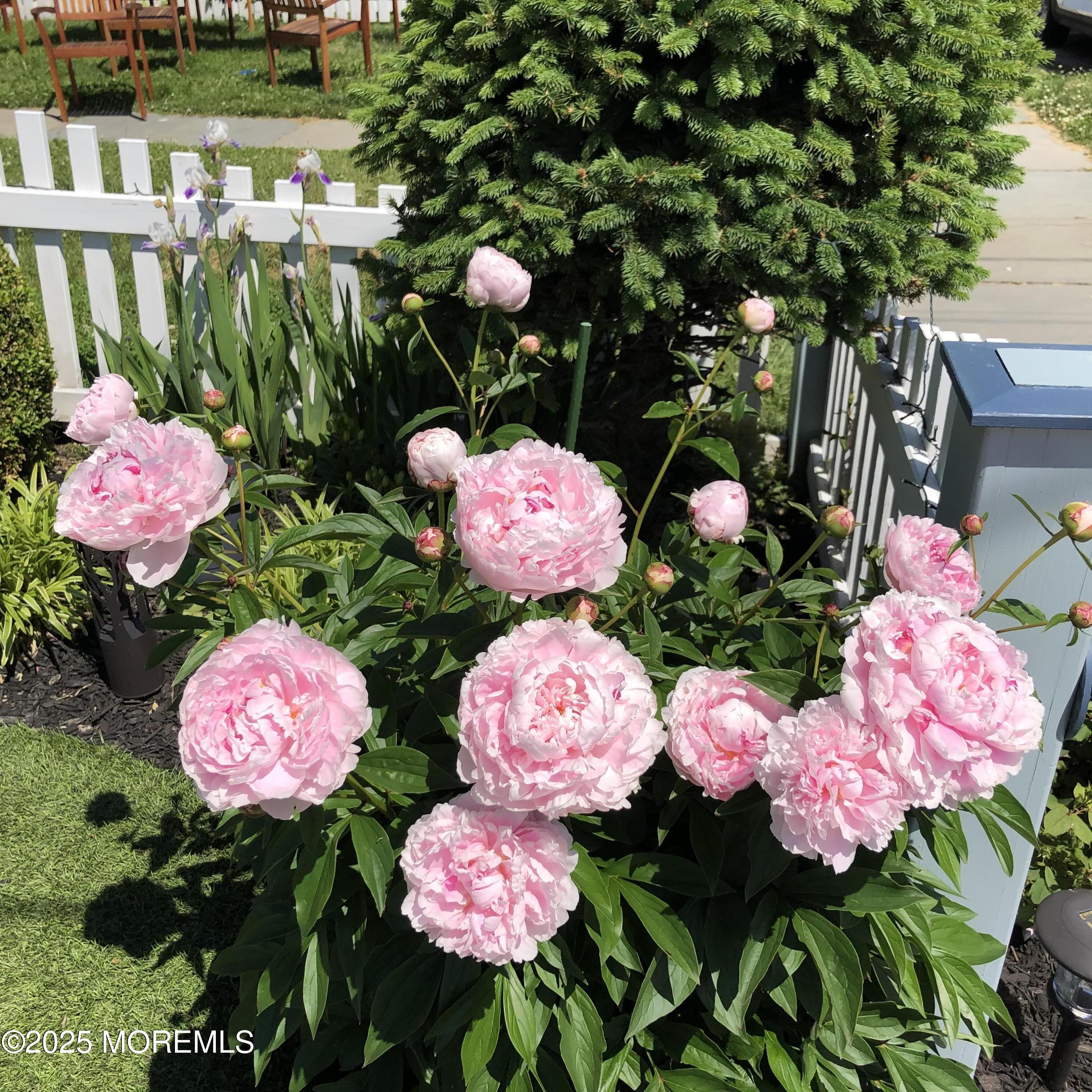 9 Embury Avenue, Ocean Grove, NJ, 07756 image 52