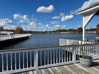 455B Portsmouth Drive, Lakewood, NJ, 08701 image 24