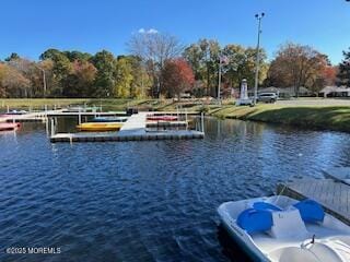 455B Portsmouth Drive, Lakewood, NJ, 08701 image 26