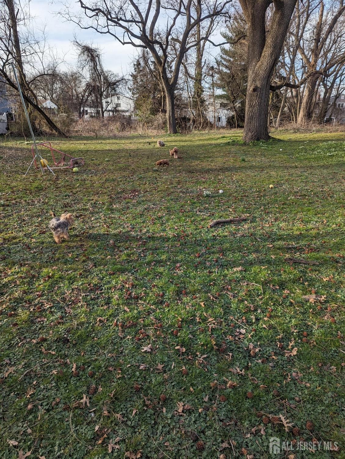 784 New Durham Avenue, Edison, NJ, 08817 image 12