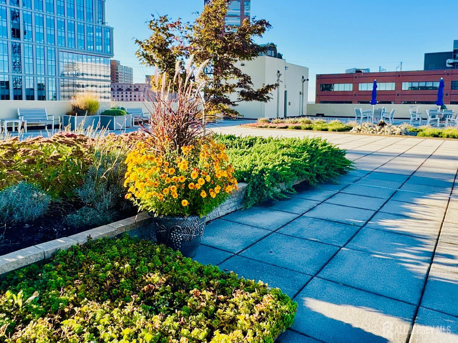 1 Spring Street 2403, New Brunswick, NJ, 08901 image 26