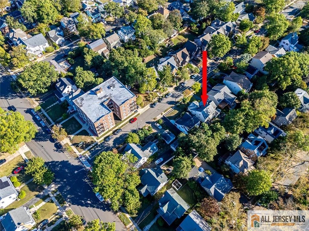 116 Graham Street, Highland Park, NJ, 08904 image 8