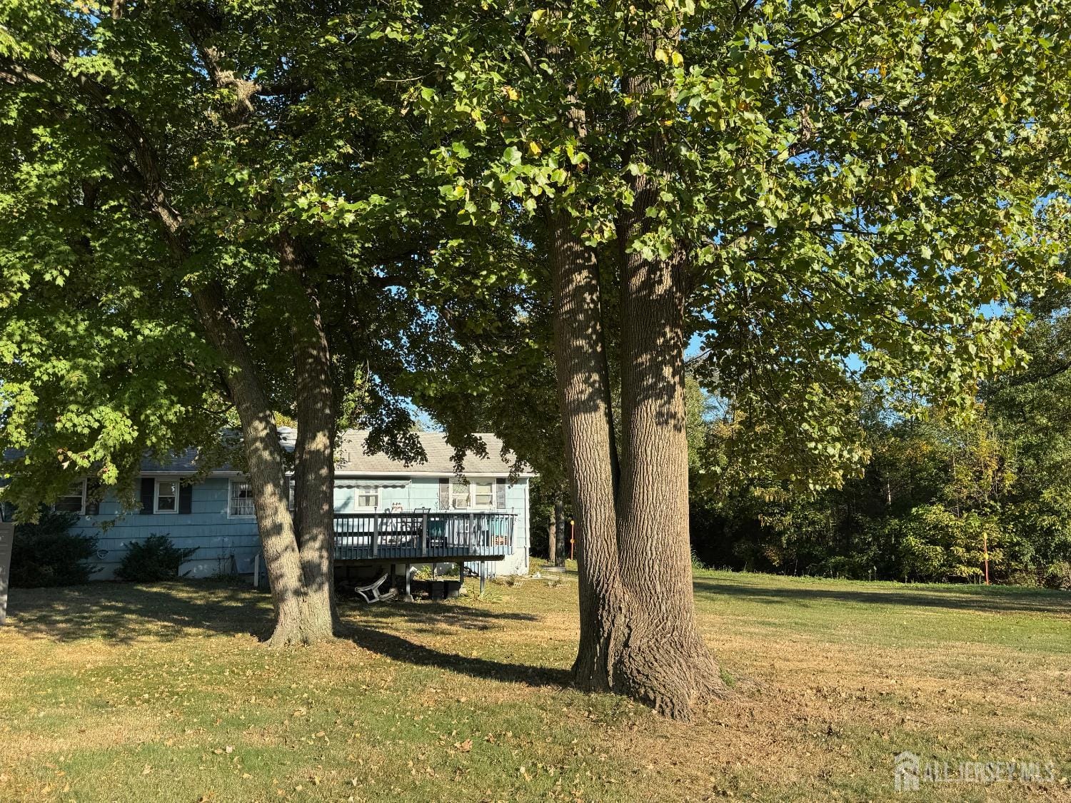 97 Howard Avenue Image 5