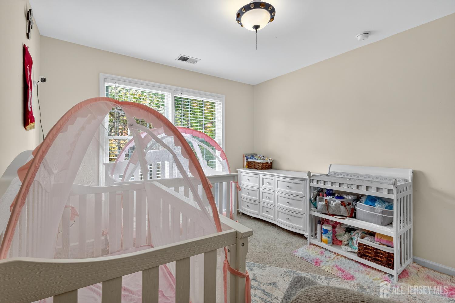 1 Palisades Road, Old Bridge, NJ, 08857 image 22