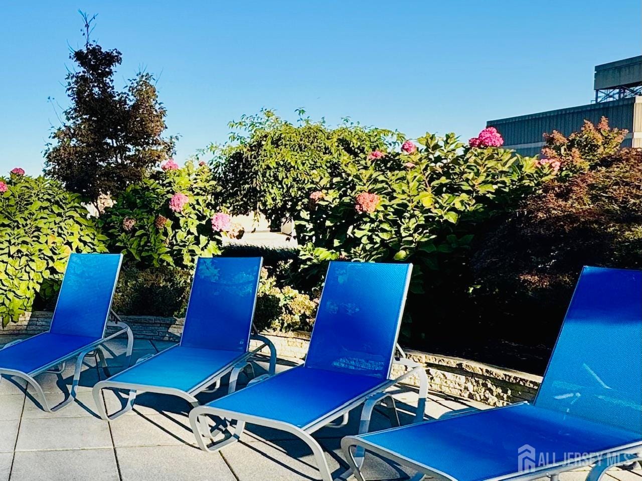 1 Spring Street 2403, New Brunswick, NJ, 08901 image 25