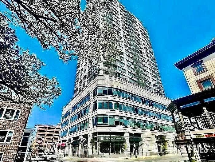 1 Spring Street 2403, New Brunswick, NJ, 08901 image 32