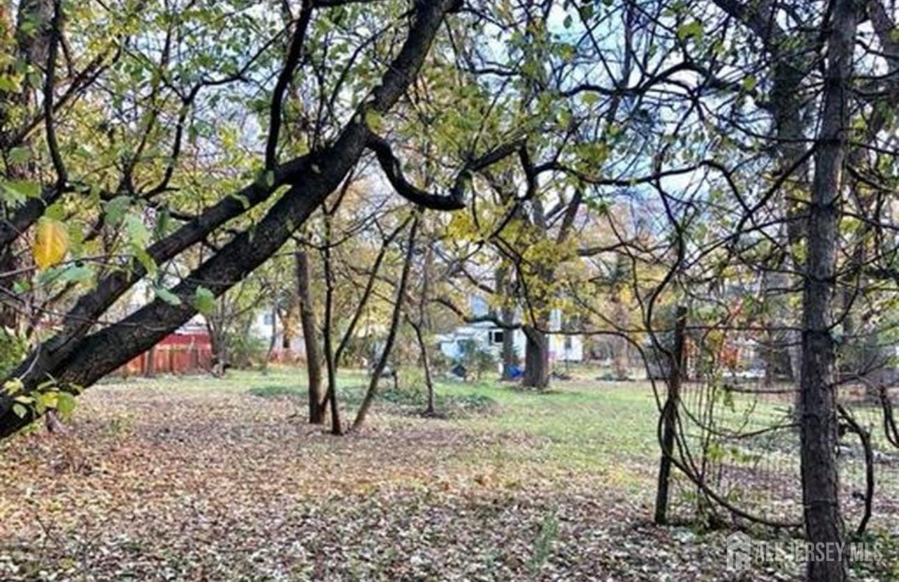 784 New Durham Avenue, Edison, NJ, 08817 image 13