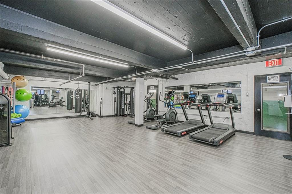 2140 Knapp Street 5H, Brooklyn, New York, 11229 image 20