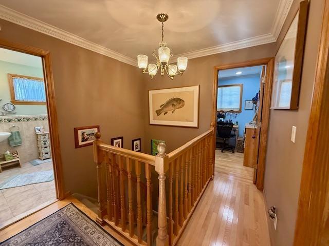 25 Celeste Court, Brooklyn, New York, 11229 image 12