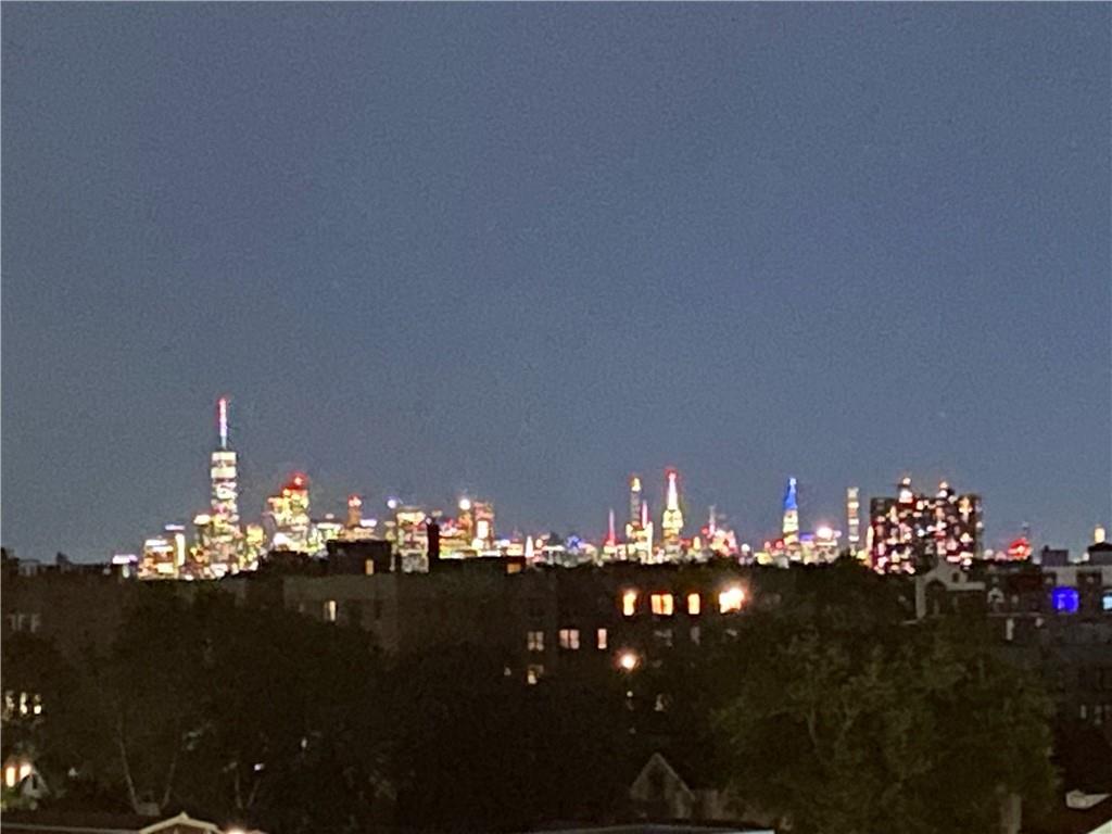 9917 Shore Road 8B, Brooklyn, New York, 11209 image 20