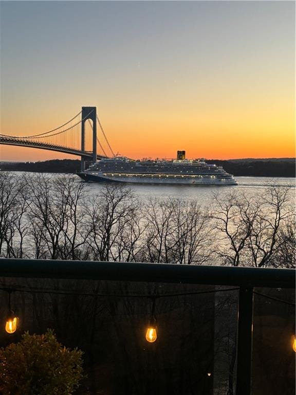 9917 Shore Road 8B, Brooklyn, New York, 11209 image 22