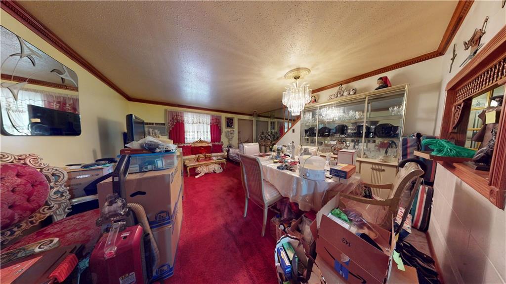 219 Berriman Street, Brooklyn, New York, 11208 image 6