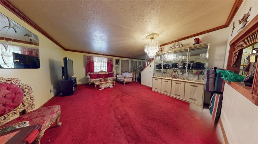 219 Berriman Street, Brooklyn, New York, 11208 image 7