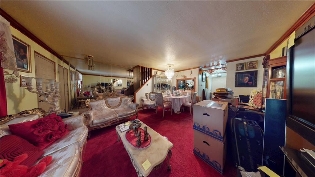 219 Berriman Street, Brooklyn, New York, 11208 image 8