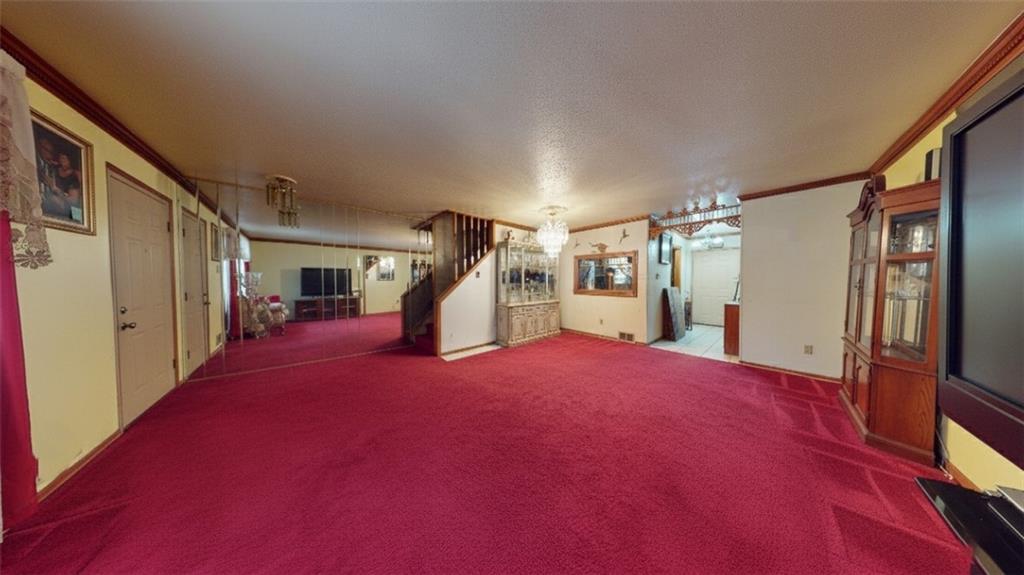 219 Berriman Street, Brooklyn, New York, 11208 image 9