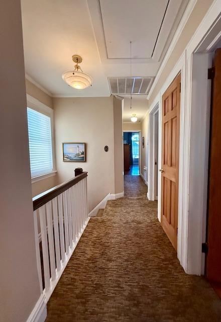 1817 Madison Place, Brooklyn, New York, 11229 image 8