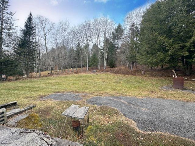 49 Ryan Road, Hunter, New York, 12442 image 14