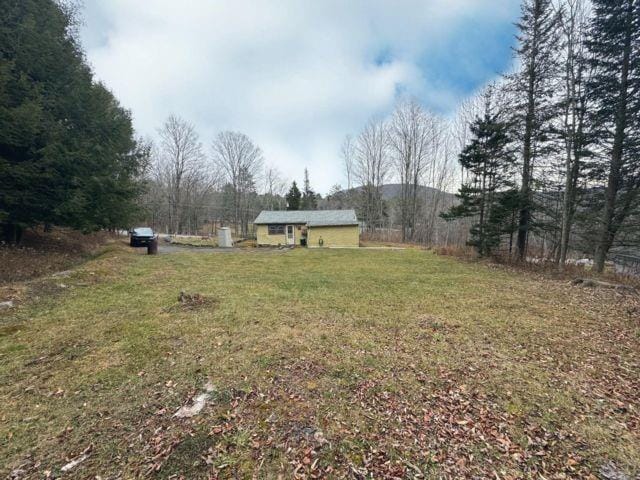 49 Ryan Road, Hunter, New York, 12442 image 16