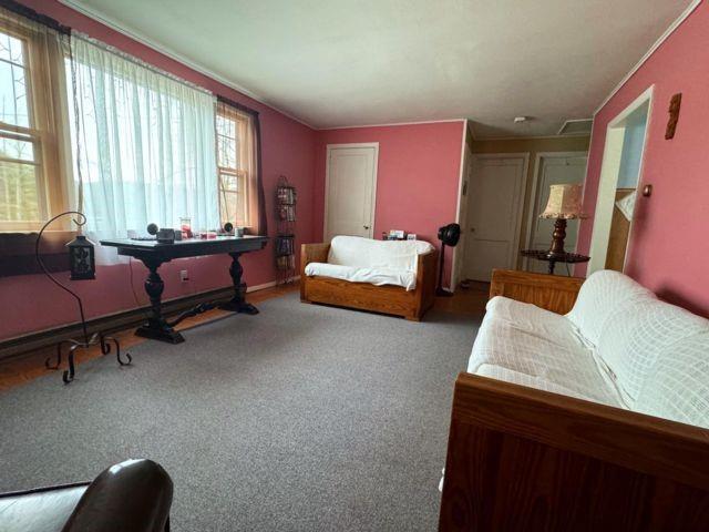 49 Ryan Road, Hunter, New York, 12442 image 6