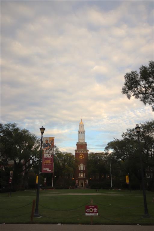 2750 Bedford Avenue, Brooklyn, New York, 11210 image 36