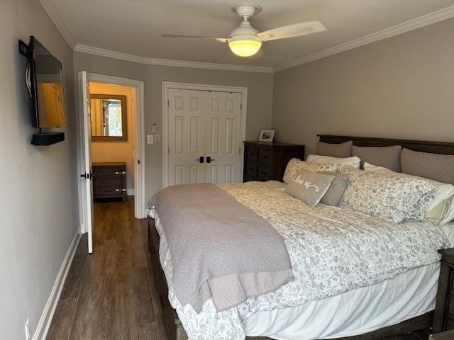 2455 Stuart Street, Brooklyn, New York, 11229 image 13