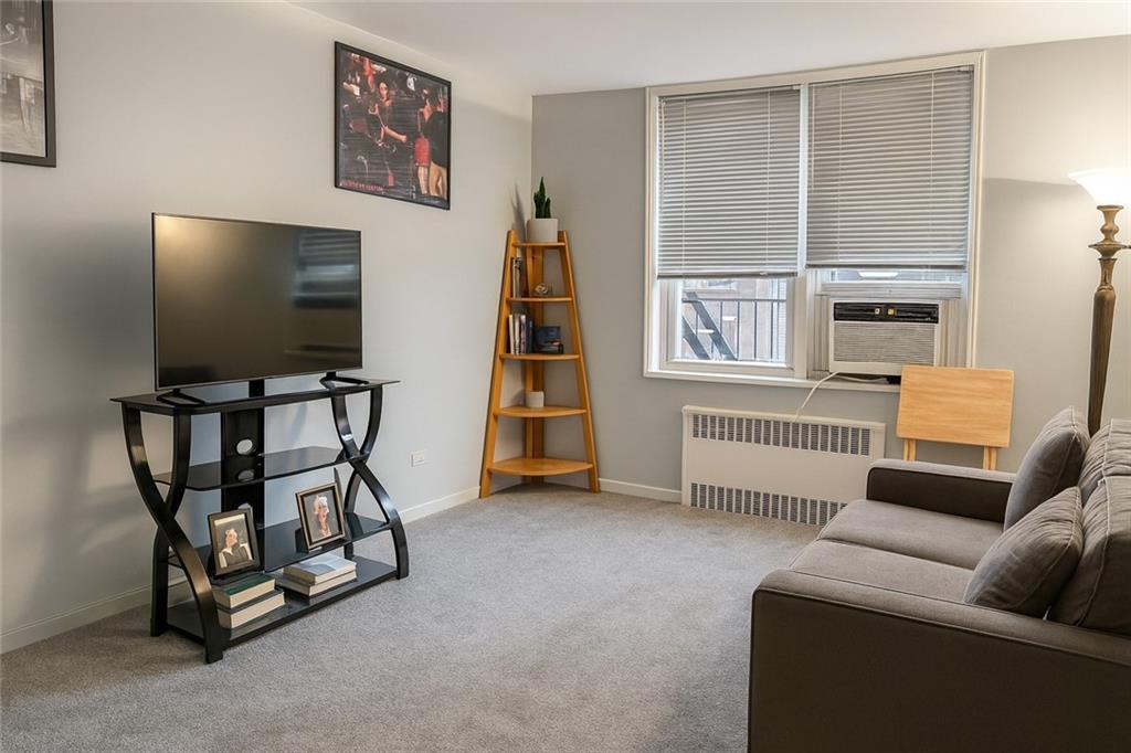 2427 East 29th Street 4D, Brooklyn, New York, 11235 image 6