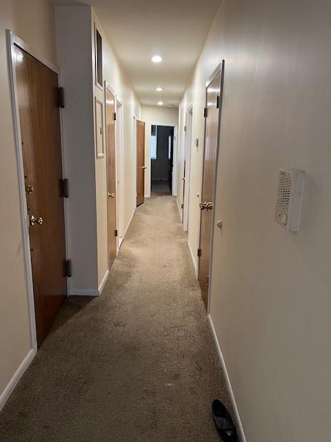 1555 East 13th Street, Brooklyn, New York, 11230 image 7