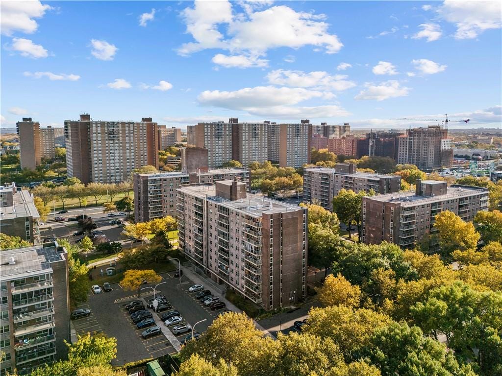 200 Cozine Avenue 4F, Brooklyn, New York, 11207 image 14