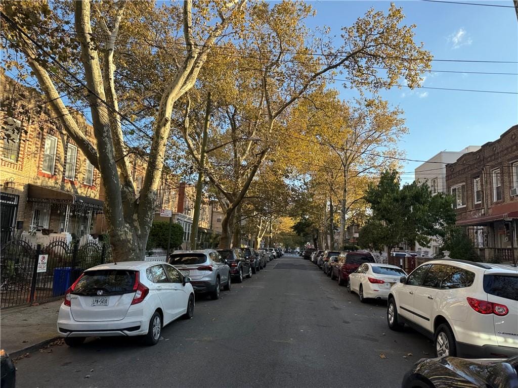 504 Thatford Avenue, Brooklyn, New York, 11212 image 9